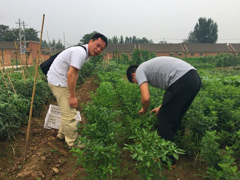 好利來郭總喊您來摘菜啦！綠色無公害，放心！